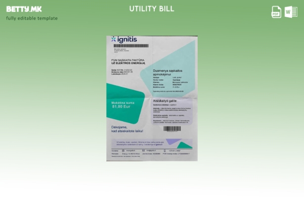 Модерен стил Литванија Ignitis шаблон за сметки за електрична енергија